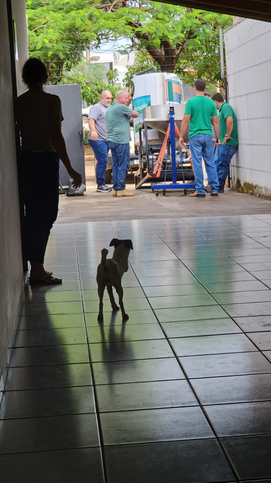 WhatsApp Image 2025-12-22 at 23.00.33.jpeg