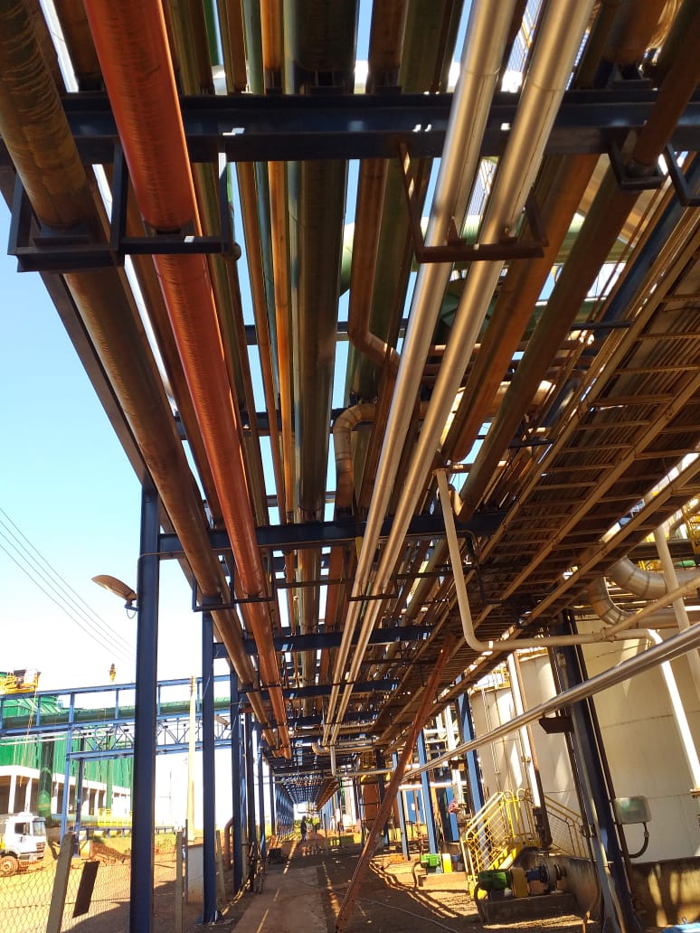 WhatsApp Image 2020-04-06 at 19.07.43.jpeg